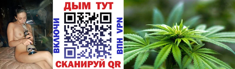даркнет как зайти  Бронницы  Бошки Шишки OG Kush 